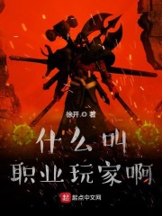 什么叫职业玩家啊小说